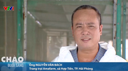  Chăn nuôi không tiếp xúc phát huy hiệu quả chống dịch bệnh