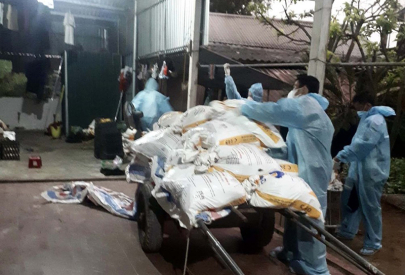  Nghệ An: Thành phố Vinh tiêu hủy 2.500 con gia cầm nhiễm H5N1